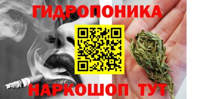 круглые Новозыбков