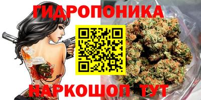 a pvp Новокубанск